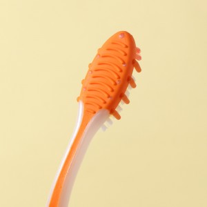 Oral Hygiene Soft Nylon Bristles Toothbrush