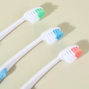 Cheap Family Home Using Manual Toothbrush