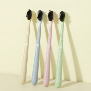 Oral Care Product Environmentally Friendly Toothbrush