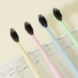 Oral Care Product Environmentally Friendly Toothbrush