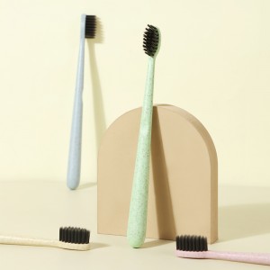 Oral Care Product Environmentally Friendly Toothbrush