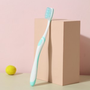 Cheap Family Home Using Manual Toothbrush